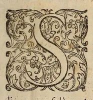 An illustration from Opra omnia, decem tomis distincta (1697)