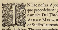 An illustration from Opra omnia, decem tomis distincta (1697)