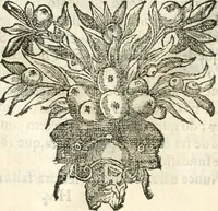 Picture 28 of 97 from O principe dos patriarcas S. Bento : primeiro[-segundo] tomo de sua vida (1683), leaf 101