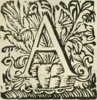 An illustration from O principe dos patriarcas S. Bento : primeiro[-segundo] tomo de sua vida (1683)