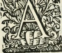 Picture 52 of 97 from O principe dos patriarcas S. Bento : primeiro[-segundo] tomo de sua vida (1683), leaf 194