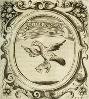 Picture 66 of 97 from O principe dos patriarcas S. Bento : primeiro[-segundo] tomo de sua vida (1683), leaf 268