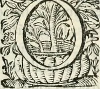 An illustration from O principe dos patriarcas S. Bento : primeiro[-segundo] tomo de sua vida (1683)