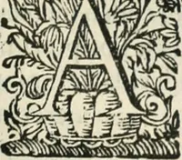 An illustration from O principe dos patriarcas S. Bento : primeiro[-segundo] tomo de sua vida (1683)