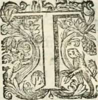 An illustration from O principe dos patriarcas S. Bento : primeiro[-segundo] tomo de sua vida (1683)