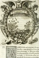 An illustration from O principe dos patriarcas S. Bento : primeiro[-segundo] tomo de sua vida (1683)