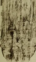 An illustration from Opsartytika und Verwandtes (1920)