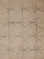 Picture 28 of 30 from Opticks: or, A treatise of the reflections, refractions, inflexions and colours of light. Also two treatises of the species and magnitude of curvilinear figures (1704), leaf 405