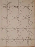 An illustration from Opticks: or, A treatise of the reflections, refractions, inflexions and colours of light. Also two treatises of the species and magnitude of curvilinear figures (1704)