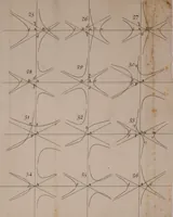 An illustration from Opticks: or, A treatise of the reflections, refractions, inflexions and colours of light. Also two treatises of the species and magnitude of curvilinear figures (1704)