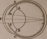 An illustration from Opticks: or, A treatise of the reflections, refractions, inflexions and colours of light. Also two treatises of the species and magnitude of curvilinear figures (1704)