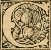 Picture 5 of 13 from Opusculu de mirabilibus noue et veteris urbis Rome (1520), leaf 8