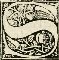 Picture 11 of 13 from Opusculu de mirabilibus noue et veteris urbis Rome (1520), leaf 97
