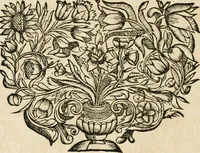 An illustration from Opus mago-cabalisticum et theologicum : vom Uhrsprung und Erzeugung des Saltzes, dessen Natur und Eigenschafft, wie auch dessen Nutz und Gebrauch ... (1719)