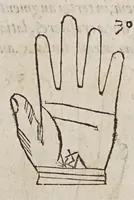 Picture 9 of 46 from Opus mathematicum octo libros complectens, : innumeris propemodum figuris idealibus manuum et physiognomiae, aliisque adornatum, quorum sex priores libri absolutissimae cheiromantiae theoricam, praxim, doctrinam, artem, & experientiam verissimam continent. Septimus physiognomiae dispositionem, hominʹumque omnium qualitates & complexiones. Octauus periaxiomata de faciebus signorum, & quid sol in vnaquaque domo existens, natis polliceatur. Remedia quoque omnium ægritudinum complectitur. Et naturalem astrologiam atq[ue] effectus lunae quoad diuersas ægritudines. Item isagogen astrologiæ iudiciariae, & totius diuinatricis artis encomia. Omnibus matheseos, cheiromantiae, philosophiae, & medicinæ studiosis vtiles ac necessarij. (1583), leaf 125