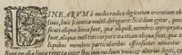 Picture 10 of 46 from Opus mathematicum octo libros complectens, : innumeris propemodum figuris idealibus manuum et physiognomiae, aliisque adornatum, quorum sex priores libri absolutissimae cheiromantiae theoricam, praxim, doctrinam, artem, & experientiam verissimam continent. Septimus physiognomiae dispositionem, hominʹumque omnium qualitates & complexiones. Octauus periaxiomata de faciebus signorum, & quid sol in vnaquaque domo existens, natis polliceatur. Remedia quoque omnium ægritudinum complectitur. Et naturalem astrologiam atq[ue] effectus lunae quoad diuersas ægritudines. Item isagogen astrologiæ iudiciariae, & totius diuinatricis artis encomia. Omnibus matheseos, cheiromantiae, philosophiae, & medicinæ studiosis vtiles ac necessarij. (1583), leaf 132