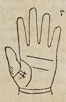 An illustration from Opus mathematicum octo libros complectens, : innumeris propemodum figuris idealibus manuum et physiognomiae, aliisque adornatum, quorum sex priores libri absolutissimae cheiromantiae theoricam, praxim, doctrinam, artem, & experientiam verissimam continent. Septimus physiognomiae dispositionem, hominʹumque omnium qualitates & complexiones. Octauus periaxiomata de faciebus signorum, & quid sol in vnaquaque domo existens, natis polliceatur. Remedia quoque omnium ægritudinum complectitur. Et naturalem astrologiam atq[ue] effectus lunae quoad diuersas ægritudines. Item isagogen astrologiæ iudiciariae, & totius diuinatricis artis encomia. Omnibus matheseos, cheiromantiae, philosophiae, & medicinæ studiosis vtiles ac necessarij. (1583)