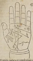 Picture 17 of 46 from Opus mathematicum octo libros complectens, : innumeris propemodum figuris idealibus manuum et physiognomiae, aliisque adornatum, quorum sex priores libri absolutissimae cheiromantiae theoricam, praxim, doctrinam, artem, & experientiam verissimam continent. Septimus physiognomiae dispositionem, hominʹumque omnium qualitates & complexiones. Octauus periaxiomata de faciebus signorum, & quid sol in vnaquaque domo existens, natis polliceatur. Remedia quoque omnium ægritudinum complectitur. Et naturalem astrologiam atq[ue] effectus lunae quoad diuersas ægritudines. Item isagogen astrologiæ iudiciariae, & totius diuinatricis artis encomia. Omnibus matheseos, cheiromantiae, philosophiae, & medicinæ studiosis vtiles ac necessarij. (1583), leaf 207