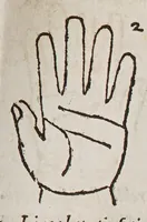 An illustration from Opus mathematicum octo libros complectens, : innumeris propemodum figuris idealibus manuum et physiognomiae, aliisque adornatum, quorum sex priores libri absolutissimae cheiromantiae theoricam, praxim, doctrinam, artem, & experientiam verissimam continent. Septimus physiognomiae dispositionem, hominʹumque omnium qualitates & complexiones. Octauus periaxiomata de faciebus signorum, & quid sol in vnaquaque domo existens, natis polliceatur. Remedia quoque omnium ægritudinum complectitur. Et naturalem astrologiam atq[ue] effectus lunae quoad diuersas ægritudines. Item isagogen astrologiæ iudiciariae, & totius diuinatricis artis encomia. Omnibus matheseos, cheiromantiae, philosophiae, & medicinæ studiosis vtiles ac necessarij. (1583)