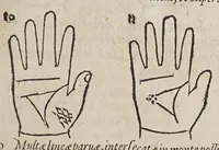 Picture 21 of 46 from Opus mathematicum octo libros complectens, : innumeris propemodum figuris idealibus manuum et physiognomiae, aliisque adornatum, quorum sex priores libri absolutissimae cheiromantiae theoricam, praxim, doctrinam, artem, & experientiam verissimam continent. Septimus physiognomiae dispositionem, hominʹumque omnium qualitates & complexiones. Octauus periaxiomata de faciebus signorum, & quid sol in vnaquaque domo existens, natis polliceatur. Remedia quoque omnium ægritudinum complectitur. Et naturalem astrologiam atq[ue] effectus lunae quoad diuersas ægritudines. Item isagogen astrologiæ iudiciariae, & totius diuinatricis artis encomia. Omnibus matheseos, cheiromantiae, philosophiae, & medicinæ studiosis vtiles ac necessarij. (1583), leaf 237