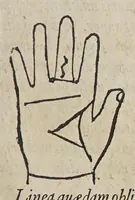 Picture 22 of 46 from Opus mathematicum octo libros complectens, : innumeris propemodum figuris idealibus manuum et physiognomiae, aliisque adornatum, quorum sex priores libri absolutissimae cheiromantiae theoricam, praxim, doctrinam, artem, & experientiam verissimam continent. Septimus physiognomiae dispositionem, hominʹumque omnium qualitates & complexiones. Octauus periaxiomata de faciebus signorum, & quid sol in vnaquaque domo existens, natis polliceatur. Remedia quoque omnium ægritudinum complectitur. Et naturalem astrologiam atq[ue] effectus lunae quoad diuersas ægritudines. Item isagogen astrologiæ iudiciariae, & totius diuinatricis artis encomia. Omnibus matheseos, cheiromantiae, philosophiae, & medicinæ studiosis vtiles ac necessarij. (1583), leaf 237