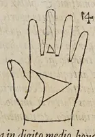 Picture 23 of 46 from Opus mathematicum octo libros complectens, : innumeris propemodum figuris idealibus manuum et physiognomiae, aliisque adornatum, quorum sex priores libri absolutissimae cheiromantiae theoricam, praxim, doctrinam, artem, & experientiam verissimam continent. Septimus physiognomiae dispositionem, hominʹumque omnium qualitates & complexiones. Octauus periaxiomata de faciebus signorum, & quid sol in vnaquaque domo existens, natis polliceatur. Remedia quoque omnium ægritudinum complectitur. Et naturalem astrologiam atq[ue] effectus lunae quoad diuersas ægritudines. Item isagogen astrologiæ iudiciariae, & totius diuinatricis artis encomia. Omnibus matheseos, cheiromantiae, philosophiae, & medicinæ studiosis vtiles ac necessarij. (1583), leaf 237