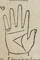 An illustration from Opus mathematicum octo libros complectens, : innumeris propemodum figuris idealibus manuum et physiognomiae, aliisque adornatum, quorum sex priores libri absolutissimae cheiromantiae theoricam, praxim, doctrinam, artem, & experientiam verissimam continent. Septimus physiognomiae dispositionem, hominʹumque omnium qualitates & complexiones. Octauus periaxiomata de faciebus signorum, & quid sol in vnaquaque domo existens, natis polliceatur. Remedia quoque omnium ægritudinum complectitur. Et naturalem astrologiam atq[ue] effectus lunae quoad diuersas ægritudines. Item isagogen astrologiæ iudiciariae, & totius diuinatricis artis encomia. Omnibus matheseos, cheiromantiae, philosophiae, & medicinæ studiosis vtiles ac necessarij. (1583)
