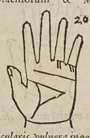 Picture 30 of 46 from Opus mathematicum octo libros complectens, : innumeris propemodum figuris idealibus manuum et physiognomiae, aliisque adornatum, quorum sex priores libri absolutissimae cheiromantiae theoricam, praxim, doctrinam, artem, & experientiam verissimam continent. Septimus physiognomiae dispositionem, hominʹumque omnium qualitates & complexiones. Octauus periaxiomata de faciebus signorum, & quid sol in vnaquaque domo existens, natis polliceatur. Remedia quoque omnium ægritudinum complectitur. Et naturalem astrologiam atq[ue] effectus lunae quoad diuersas ægritudines. Item isagogen astrologiæ iudiciariae, & totius diuinatricis artis encomia. Omnibus matheseos, cheiromantiae, philosophiae, & medicinæ studiosis vtiles ac necessarij. (1583), leaf 307
