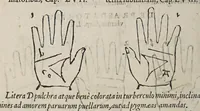 Picture 33 of 46 from Opus mathematicum octo libros complectens, : innumeris propemodum figuris idealibus manuum et physiognomiae, aliisque adornatum, quorum sex priores libri absolutissimae cheiromantiae theoricam, praxim, doctrinam, artem, & experientiam verissimam continent. Septimus physiognomiae dispositionem, hominʹumque omnium qualitates & complexiones. Octauus periaxiomata de faciebus signorum, & quid sol in vnaquaque domo existens, natis polliceatur. Remedia quoque omnium ægritudinum complectitur. Et naturalem astrologiam atq[ue] effectus lunae quoad diuersas ægritudines. Item isagogen astrologiæ iudiciariae, & totius diuinatricis artis encomia. Omnibus matheseos, cheiromantiae, philosophiae, & medicinæ studiosis vtiles ac necessarij. (1583), leaf 344