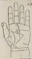 An illustration from Opus mathematicum octo libros complectens, : innumeris propemodum figuris idealibus manuum et physiognomiae, aliisque adornatum, quorum sex priores libri absolutissimae cheiromantiae theoricam, praxim, doctrinam, artem, & experientiam verissimam continent. Septimus physiognomiae dispositionem, hominʹumque omnium qualitates & complexiones. Octauus periaxiomata de faciebus signorum, & quid sol in vnaquaque domo existens, natis polliceatur. Remedia quoque omnium ægritudinum complectitur. Et naturalem astrologiam atq[ue] effectus lunae quoad diuersas ægritudines. Item isagogen astrologiæ iudiciariae, & totius diuinatricis artis encomia. Omnibus matheseos, cheiromantiae, philosophiae, & medicinæ studiosis vtiles ac necessarij. (1583)