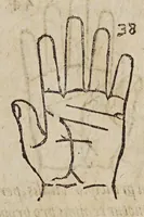 An illustration from Opus mathematicum octo libros complectens, : innumeris propemodum figuris idealibus manuum et physiognomiae, aliisque adornatum, quorum sex priores libri absolutissimae cheiromantiae theoricam, praxim, doctrinam, artem, & experientiam verissimam continent. Septimus physiognomiae dispositionem, hominʹumque omnium qualitates & complexiones. Octauus periaxiomata de faciebus signorum, & quid sol in vnaquaque domo existens, natis polliceatur. Remedia quoque omnium ægritudinum complectitur. Et naturalem astrologiam atq[ue] effectus lunae quoad diuersas ægritudines. Item isagogen astrologiæ iudiciariae, & totius diuinatricis artis encomia. Omnibus matheseos, cheiromantiae, philosophiae, & medicinæ studiosis vtiles ac necessarij. (1583)