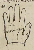Picture 5 of 46 from Opus mathematicum octo libros complectens, : innumeris propemodum figuris idealibus manuum et physiognomiae, aliisque adornatum, quorum sex priores libri absolutissimae cheiromantiae theoricam, praxim, doctrinam, artem, & experientiam verissimam continent. Septimus physiognomiae dispositionem, hominʹumque omnium qualitates & complexiones. Octauus periaxiomata de faciebus signorum, & quid sol in vnaquaque domo existens, natis polliceatur. Remedia quoque omnium ægritudinum complectitur. Et naturalem astrologiam atq[ue] effectus lunae quoad diuersas ægritudines. Item isagogen astrologiæ iudiciariae, & totius diuinatricis artis encomia. Omnibus matheseos, cheiromantiae, philosophiae, & medicinæ studiosis vtiles ac necessarij. (1583), leaf 95