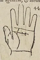 Picture 6 of 46 from Opus mathematicum octo libros complectens, : innumeris propemodum figuris idealibus manuum et physiognomiae, aliisque adornatum, quorum sex priores libri absolutissimae cheiromantiae theoricam, praxim, doctrinam, artem, & experientiam verissimam continent. Septimus physiognomiae dispositionem, hominʹumque omnium qualitates & complexiones. Octauus periaxiomata de faciebus signorum, & quid sol in vnaquaque domo existens, natis polliceatur. Remedia quoque omnium ægritudinum complectitur. Et naturalem astrologiam atq[ue] effectus lunae quoad diuersas ægritudines. Item isagogen astrologiæ iudiciariae, & totius diuinatricis artis encomia. Omnibus matheseos, cheiromantiae, philosophiae, & medicinæ studiosis vtiles ac necessarij. (1583), leaf 95