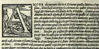An illustration from Opvscoli morali (1568)
