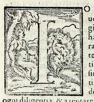 An illustration from Opvscoli morali (1568)