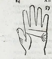 An illustration from Opvs mathematicvm octo libros complectens : innvmeris propemodvm figvris idealibvs manvvm et physiognomiae, aliisqve adornatvm, qvorvm sex priores libri absolutissimae cheiromantiae theoricam, praxim, doctrinam, artem, & experientiam verissimam continent : septimus physiognomiae dispositionem, hominumque omnium qualitates & complexiones : octauus periaxiomata de faciebus signorum, & quid sol in vnaquaque domo existens, natis polliceatur : remedia quoq; omnium aegritudinum complectitur : et naturalem astrologiam atq; effectus lunae quoad diuersas aegritudines : item isagogen astrologiae iudiciariae, & totius diuinatricis artis encomia ... (1562)