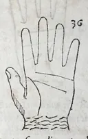 An illustration from Opvs mathematicvm octo libros complectens : innvmeris propemodvm figvris idealibvs manvvm et physiognomiae, aliisqve adornatvm, qvorvm sex priores libri absolutissimae cheiromantiae theoricam, praxim, doctrinam, artem, & experientiam verissimam continent : septimus physiognomiae dispositionem, hominumque omnium qualitates & complexiones : octauus periaxiomata de faciebus signorum, & quid sol in vnaquaque domo existens, natis polliceatur : remedia quoq; omnium aegritudinum complectitur : et naturalem astrologiam atq; effectus lunae quoad diuersas aegritudines : item isagogen astrologiae iudiciariae, & totius diuinatricis artis encomia ... (1562)