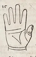 An illustration from Opvs mathematicvm octo libros complectens : innvmeris propemodvm figvris idealibvs manvvm et physiognomiae, aliisqve adornatvm, qvorvm sex priores libri absolutissimae cheiromantiae theoricam, praxim, doctrinam, artem, & experientiam verissimam continent : septimus physiognomiae dispositionem, hominumque omnium qualitates & complexiones : octauus periaxiomata de faciebus signorum, & quid sol in vnaquaque domo existens, natis polliceatur : remedia quoq; omnium aegritudinum complectitur : et naturalem astrologiam atq; effectus lunae quoad diuersas aegritudines : item isagogen astrologiae iudiciariae, & totius diuinatricis artis encomia ... (1562)