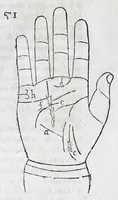 An illustration from Opvs mathematicvm octo libros complectens : innvmeris propemodvm figvris idealibvs manvvm et physiognomiae, aliisqve adornatvm, qvorvm sex priores libri absolutissimae cheiromantiae theoricam, praxim, doctrinam, artem, & experientiam verissimam continent : septimus physiognomiae dispositionem, hominumque omnium qualitates & complexiones : octauus periaxiomata de faciebus signorum, & quid sol in vnaquaque domo existens, natis polliceatur : remedia quoq; omnium aegritudinum complectitur : et naturalem astrologiam atq; effectus lunae quoad diuersas aegritudines : item isagogen astrologiae iudiciariae, & totius diuinatricis artis encomia ... (1562)