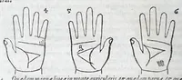 An illustration from Opvs mathematicvm octo libros complectens : innvmeris propemodvm figvris idealibvs manvvm et physiognomiae, aliisqve adornatvm, qvorvm sex priores libri absolutissimae cheiromantiae theoricam, praxim, doctrinam, artem, & experientiam verissimam continent : septimus physiognomiae dispositionem, hominumque omnium qualitates & complexiones : octauus periaxiomata de faciebus signorum, & quid sol in vnaquaque domo existens, natis polliceatur : remedia quoq; omnium aegritudinum complectitur : et naturalem astrologiam atq; effectus lunae quoad diuersas aegritudines : item isagogen astrologiae iudiciariae, & totius diuinatricis artis encomia ... (1562)