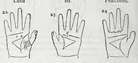 An illustration from Opvs mathematicvm octo libros complectens : innvmeris propemodvm figvris idealibvs manvvm et physiognomiae, aliisqve adornatvm, qvorvm sex priores libri absolutissimae cheiromantiae theoricam, praxim, doctrinam, artem, & experientiam verissimam continent : septimus physiognomiae dispositionem, hominumque omnium qualitates & complexiones : octauus periaxiomata de faciebus signorum, & quid sol in vnaquaque domo existens, natis polliceatur : remedia quoq; omnium aegritudinum complectitur : et naturalem astrologiam atq; effectus lunae quoad diuersas aegritudines : item isagogen astrologiae iudiciariae, & totius diuinatricis artis encomia ... (1562)