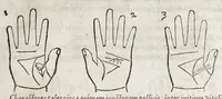 Picture 18 of 38 from Opvs mathematicvm octo libros complectens : innvmeris propemodvm figvris idealibvs manvvm et physiognomiae, aliisqve adornatvm, qvorvm sex priores libri absolutissimae cheiromantiae theoricam, praxim, doctrinam, artem, & experientiam verissimam continent : septimus physiognomiae dispositionem, hominumque omnium qualitates & complexiones : octauus periaxiomata de faciebus signorum, & quid sol in vnaquaque domo existens, natis polliceatur : remedia quoq; omnium aegritudinum complectitur : et naturalem astrologiam atq; effectus lunae quoad diuersas aegritudines : item isagogen astrologiae iudiciariae, & totius diuinatricis artis encomia ... (1562), leaf 283