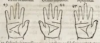 An illustration from Opvs mathematicvm octo libros complectens : innvmeris propemodvm figvris idealibvs manvvm et physiognomiae, aliisqve adornatvm, qvorvm sex priores libri absolutissimae cheiromantiae theoricam, praxim, doctrinam, artem, & experientiam verissimam continent : septimus physiognomiae dispositionem, hominumque omnium qualitates & complexiones : octauus periaxiomata de faciebus signorum, & quid sol in vnaquaque domo existens, natis polliceatur : remedia quoq; omnium aegritudinum complectitur : et naturalem astrologiam atq; effectus lunae quoad diuersas aegritudines : item isagogen astrologiae iudiciariae, & totius diuinatricis artis encomia ... (1562)