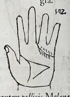 An illustration from Opvs mathematicvm octo libros complectens : innvmeris propemodvm figvris idealibvs manvvm et physiognomiae, aliisqve adornatvm, qvorvm sex priores libri absolutissimae cheiromantiae theoricam, praxim, doctrinam, artem, & experientiam verissimam continent : septimus physiognomiae dispositionem, hominumque omnium qualitates & complexiones : octauus periaxiomata de faciebus signorum, & quid sol in vnaquaque domo existens, natis polliceatur : remedia quoq; omnium aegritudinum complectitur : et naturalem astrologiam atq; effectus lunae quoad diuersas aegritudines : item isagogen astrologiae iudiciariae, & totius diuinatricis artis encomia ... (1562)