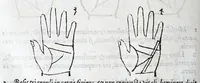 An illustration from Opvs mathematicvm octo libros complectens : innvmeris propemodvm figvris idealibvs manvvm et physiognomiae, aliisqve adornatvm, qvorvm sex priores libri absolutissimae cheiromantiae theoricam, praxim, doctrinam, artem, & experientiam verissimam continent : septimus physiognomiae dispositionem, hominumque omnium qualitates & complexiones : octauus periaxiomata de faciebus signorum, & quid sol in vnaquaque domo existens, natis polliceatur : remedia quoq; omnium aegritudinum complectitur : et naturalem astrologiam atq; effectus lunae quoad diuersas aegritudines : item isagogen astrologiae iudiciariae, & totius diuinatricis artis encomia ... (1562)