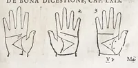 Picture 25 of 38 from Opvs mathematicvm octo libros complectens : innvmeris propemodvm figvris idealibvs manvvm et physiognomiae, aliisqve adornatvm, qvorvm sex priores libri absolutissimae cheiromantiae theoricam, praxim, doctrinam, artem, & experientiam verissimam continent : septimus physiognomiae dispositionem, hominumque omnium qualitates & complexiones : octauus periaxiomata de faciebus signorum, & quid sol in vnaquaque domo existens, natis polliceatur : remedia quoq; omnium aegritudinum complectitur : et naturalem astrologiam atq; effectus lunae quoad diuersas aegritudines : item isagogen astrologiae iudiciariae, & totius diuinatricis artis encomia ... (1562), leaf 353