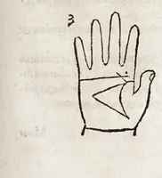 An illustration from Opvs mathematicvm octo libros complectens : innvmeris propemodvm figvris idealibvs manvvm et physiognomiae, aliisqve adornatvm, qvorvm sex priores libri absolutissimae cheiromantiae theoricam, praxim, doctrinam, artem, & experientiam verissimam continent : septimus physiognomiae dispositionem, hominumque omnium qualitates & complexiones : octauus periaxiomata de faciebus signorum, & quid sol in vnaquaque domo existens, natis polliceatur : remedia quoq; omnium aegritudinum complectitur : et naturalem astrologiam atq; effectus lunae quoad diuersas aegritudines : item isagogen astrologiae iudiciariae, & totius diuinatricis artis encomia ... (1562)