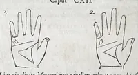An illustration from Opvs mathematicvm octo libros complectens : innvmeris propemodvm figvris idealibvs manvvm et physiognomiae, aliisqve adornatvm, qvorvm sex priores libri absolutissimae cheiromantiae theoricam, praxim, doctrinam, artem, & experientiam verissimam continent : septimus physiognomiae dispositionem, hominumque omnium qualitates & complexiones : octauus periaxiomata de faciebus signorum, & quid sol in vnaquaque domo existens, natis polliceatur : remedia quoq; omnium aegritudinum complectitur : et naturalem astrologiam atq; effectus lunae quoad diuersas aegritudines : item isagogen astrologiae iudiciariae, & totius diuinatricis artis encomia ... (1562)