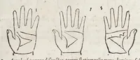 An illustration from Opvs mathematicvm octo libros complectens : innvmeris propemodvm figvris idealibvs manvvm et physiognomiae, aliisqve adornatvm, qvorvm sex priores libri absolutissimae cheiromantiae theoricam, praxim, doctrinam, artem, & experientiam verissimam continent : septimus physiognomiae dispositionem, hominumque omnium qualitates & complexiones : octauus periaxiomata de faciebus signorum, & quid sol in vnaquaque domo existens, natis polliceatur : remedia quoq; omnium aegritudinum complectitur : et naturalem astrologiam atq; effectus lunae quoad diuersas aegritudines : item isagogen astrologiae iudiciariae, & totius diuinatricis artis encomia ... (1562)
