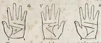 An illustration from Opvs mathematicvm octo libros complectens : innvmeris propemodvm figvris idealibvs manvvm et physiognomiae, aliisqve adornatvm, qvorvm sex priores libri absolutissimae cheiromantiae theoricam, praxim, doctrinam, artem, & experientiam verissimam continent : septimus physiognomiae dispositionem, hominumque omnium qualitates & complexiones : octauus periaxiomata de faciebus signorum, & quid sol in vnaquaque domo existens, natis polliceatur : remedia quoq; omnium aegritudinum complectitur : et naturalem astrologiam atq; effectus lunae quoad diuersas aegritudines : item isagogen astrologiae iudiciariae, & totius diuinatricis artis encomia ... (1562)